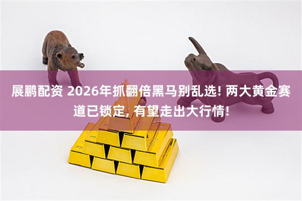 展鹏配资 2026年抓翻倍黑马别乱选! 两大黄金赛道已锁定, 有望走出大行情!