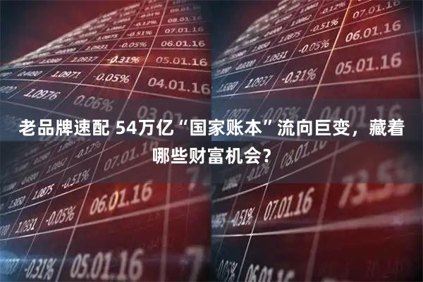老品牌速配 54万亿“国家账本”流向巨变，藏着哪些财富机会？