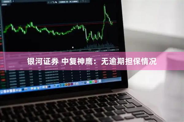 银河证券 中复神鹰：无逾期担保情况