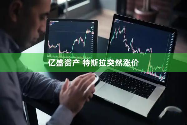 亿盛资产 特斯拉突然涨价