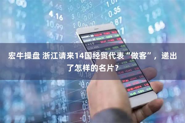 宏牛操盘 浙江请来14国经贸代表“做客”，递出了怎样的名片？