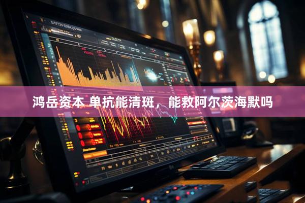 鸿岳资本 单抗能清斑，能救阿尔茨海默吗