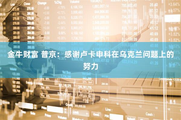 金牛财富 普京:感谢卢卡申科在乌克兰问题上的努力