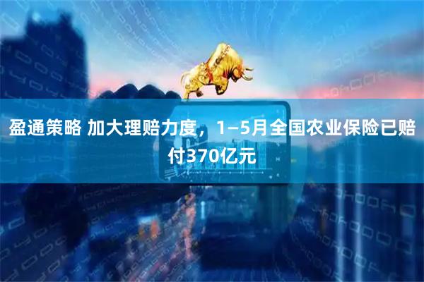 盈通策略 加大理赔力度，1—5月全国农业保险已赔付370亿元