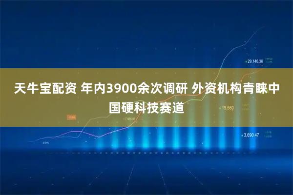 天牛宝配资 年内3900余次调研 外资机构青睐中国硬科技赛道