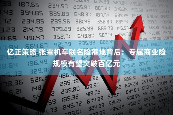 亿正策略 张雪机车联名险落地背后：专属商业险规模有望突破百亿元